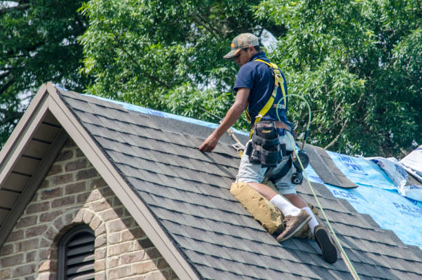 Professional Roofing Contractor in Le Sueur, MN