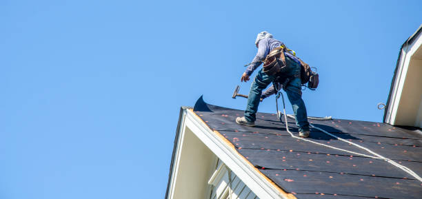 Best Roof Waterproofing Services  in Le Sueur, MN